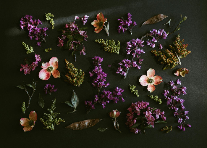Lindomefloristerna